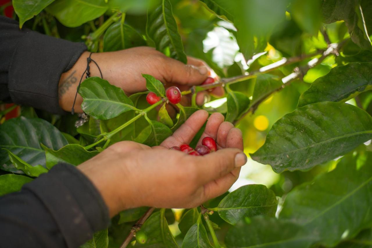 Hosteria Cananvalle إيبارا المظهر الخارجي الصورة